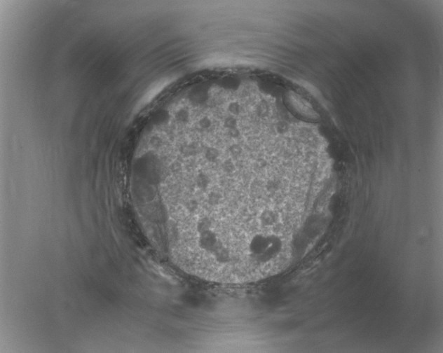 X0000078020871200611171910