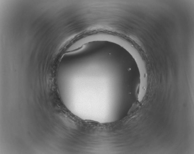 X0000078020872200611171910