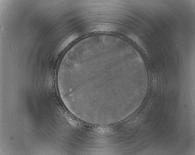 X0000078020874200611171910