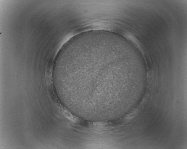 X0000078020875200611171910