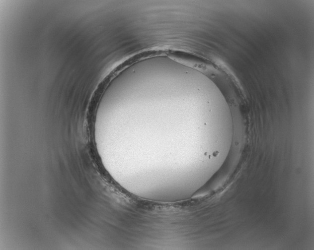 X0000078020876200611171910