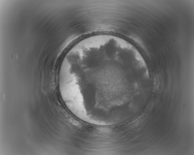 X0000078020878200611171910