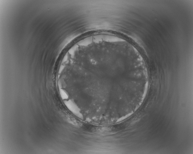 X0000078020879200611171910