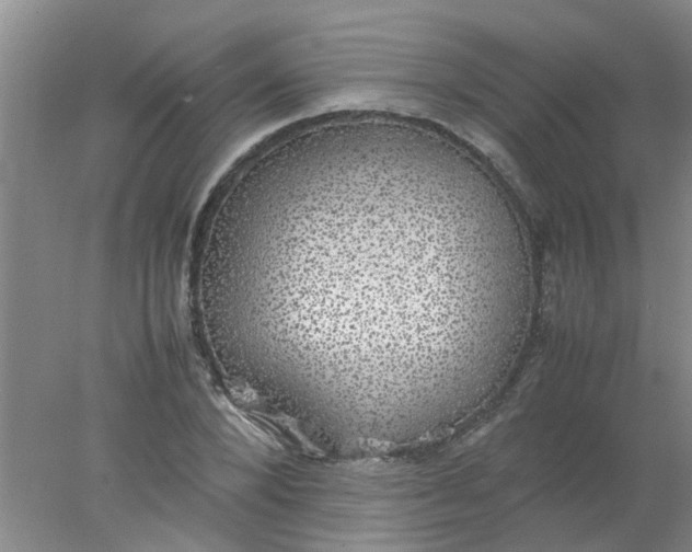 X0000078020880200611171910