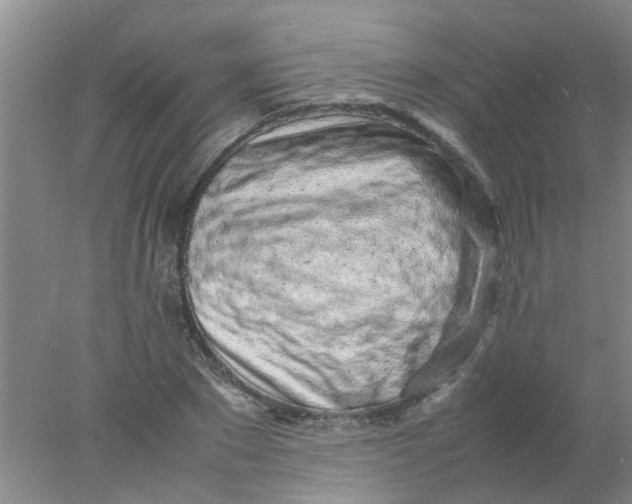 X0000078020881200611171910