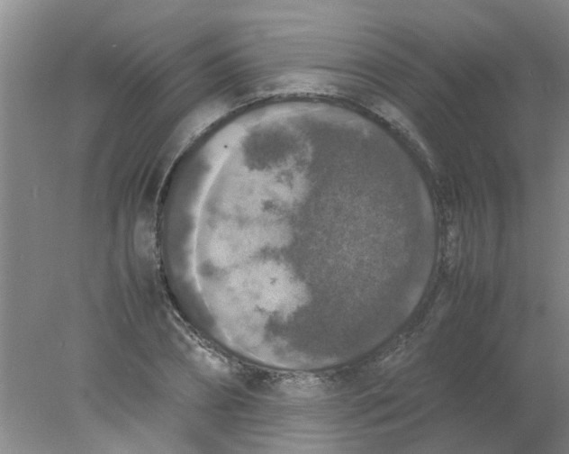 X0000078020882200611171910