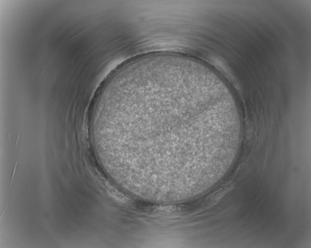 X0000078020883200611171910