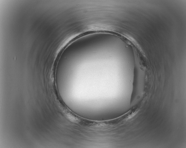 X0000078020885200611171910