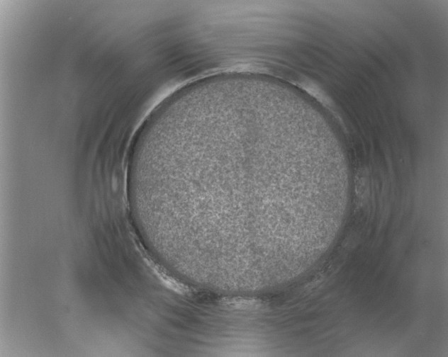 X0000078020886200611171910