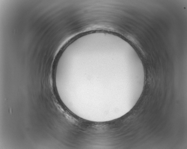 X0000078020888200611171910