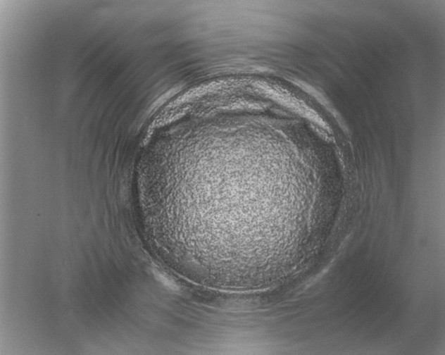 X0000078020889200611171910