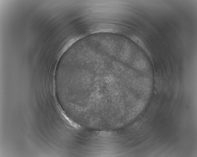 X0000078020890200611171910