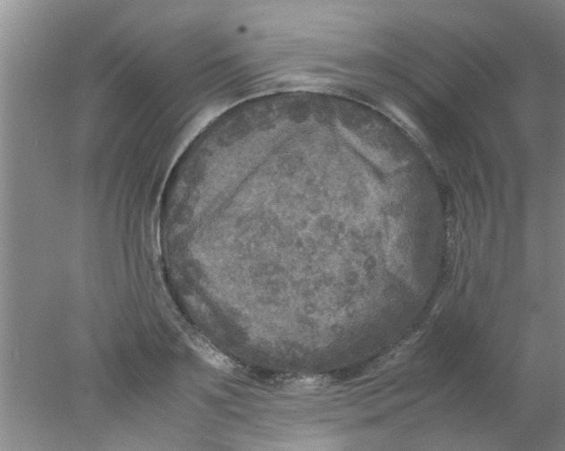 X0000078020891200611171910