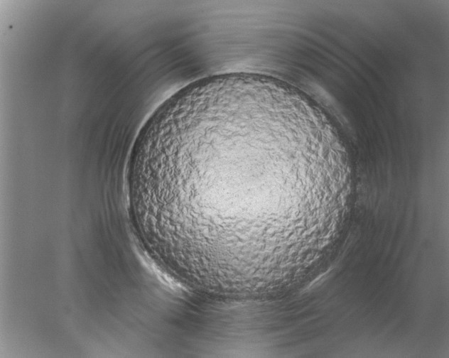 X0000078020892200611171910