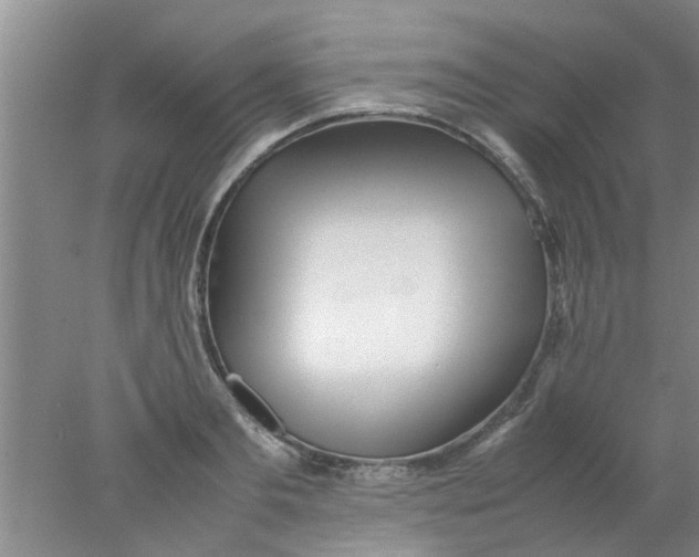 X0000078020893200611171910