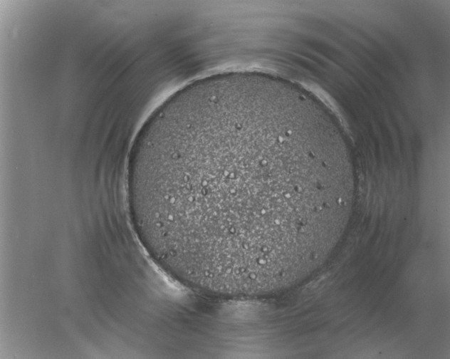 X0000078020894200611171910