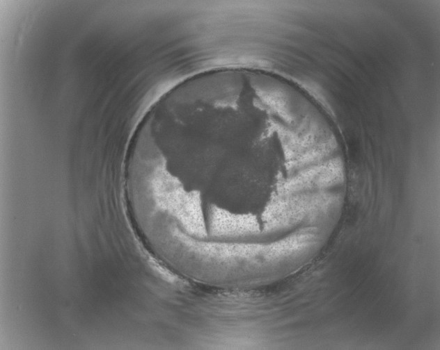 X0000078020895200611171910