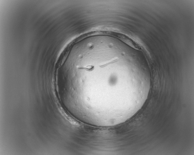 X0000078020896200611171910