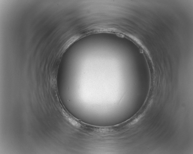 X0000078020897200611171910