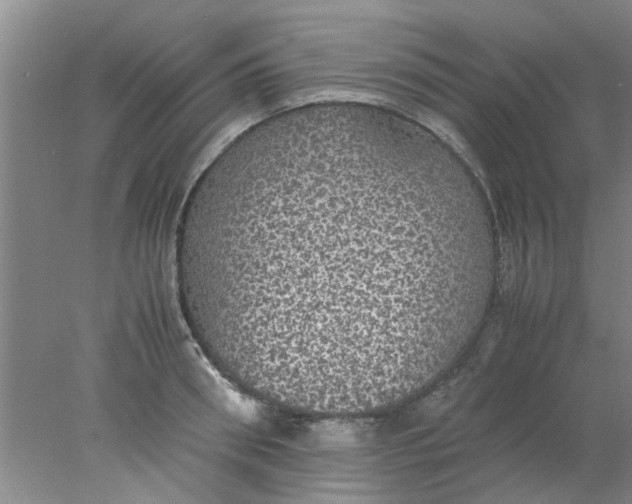 X0000078020898200611171910