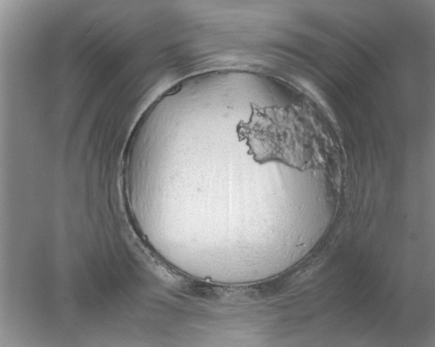 X0000078020899200611171910