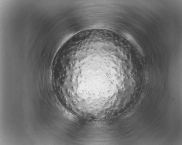 X0000078020900200611171910