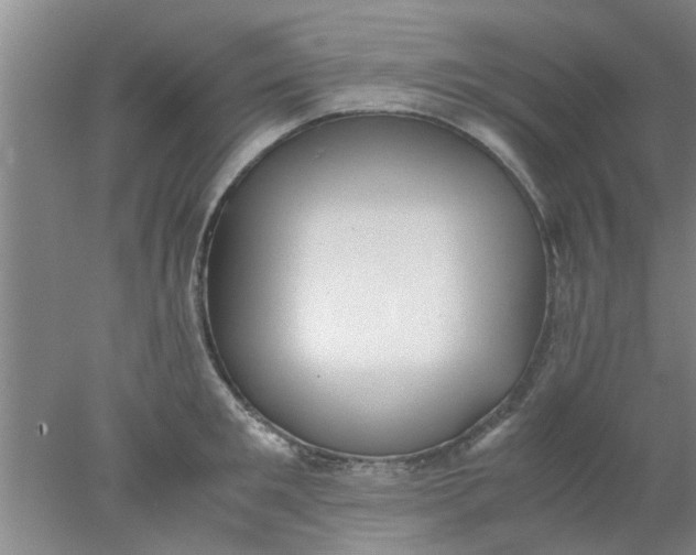 X0000078020901200611171910