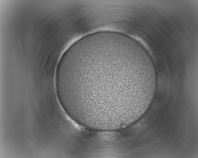 X0000078020902200611171910