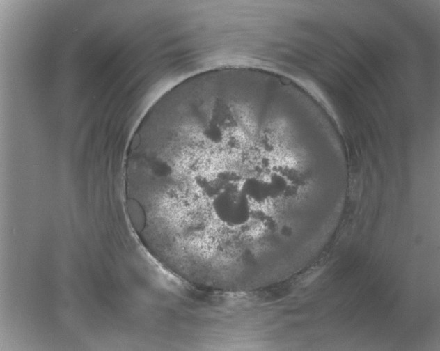 X0000078020903200611171910