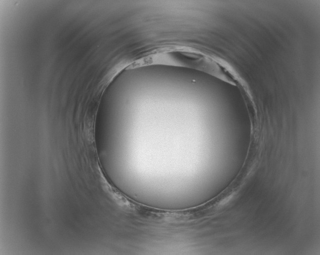 X0000078020905200611171910