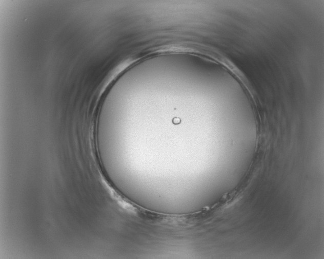 X0000078020909200611171909