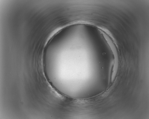 X0000078020910200611171909