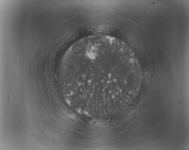 X0000078020913200611171909