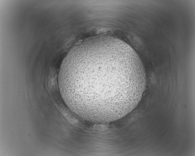 X0000078020914200611171909