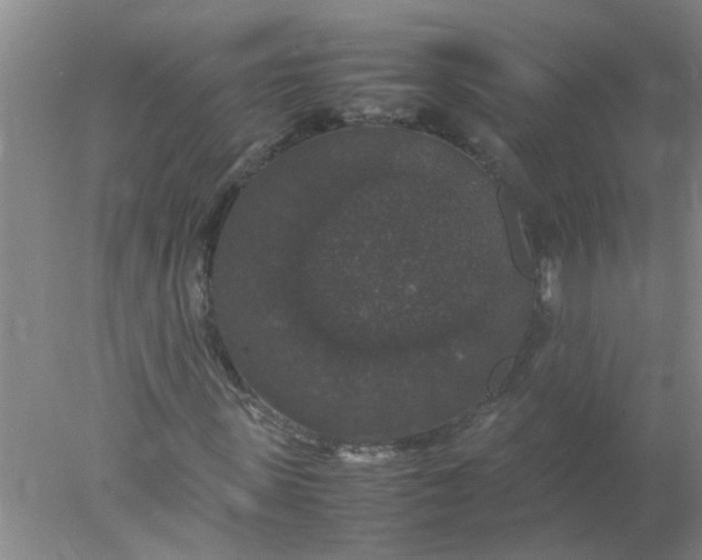 X0000078020915200611171909