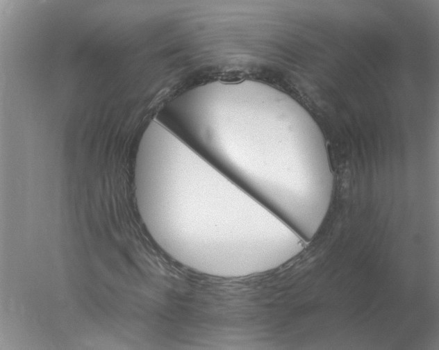 X0000078020916200611171909