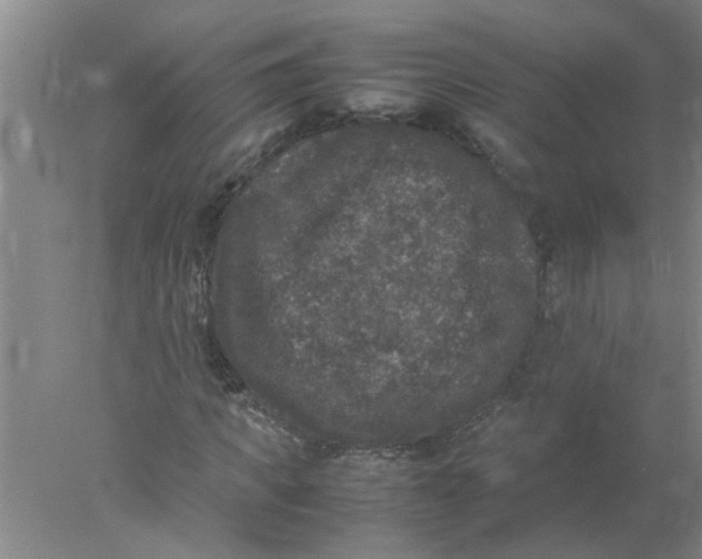 X0000078020917200611171909