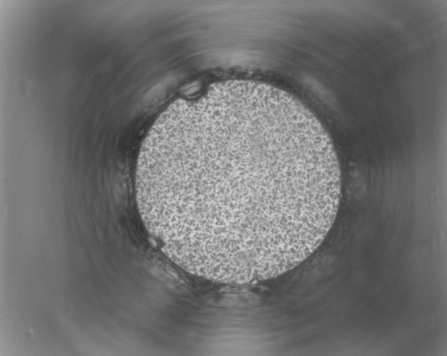 X0000078020918200611171909