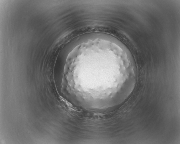 X0000078020919200611171909