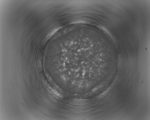 X0000078020921200611171909