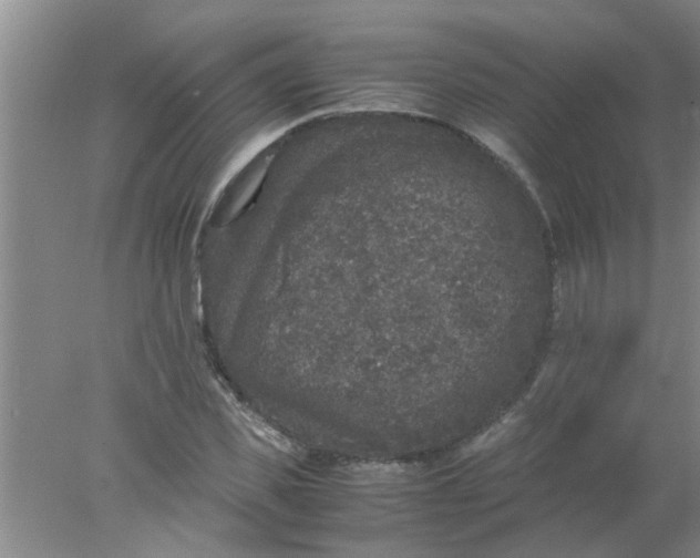 X0000078020925200611171909