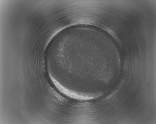 X0000078020926200611171909