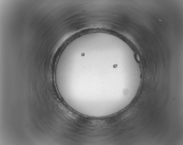 X0000078020927200611171909