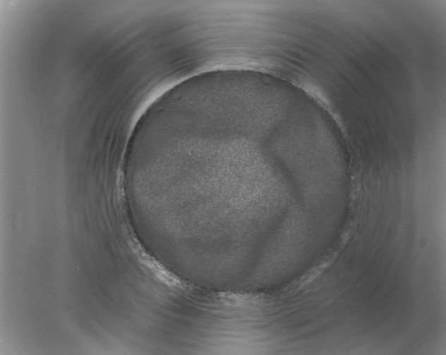 X0000078020928200611171909