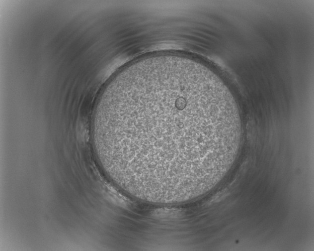 X0000078020929200611171909