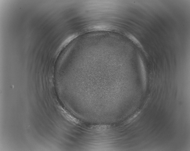 X0000078020930200611171909