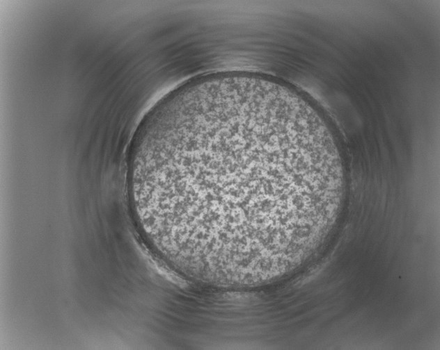 X0000078020933200611171909