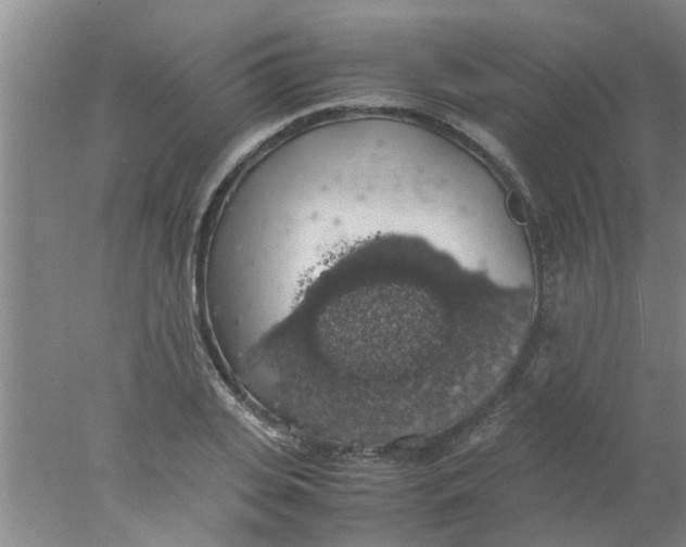 X0000078020935200611171909