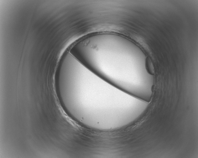 X0000078020936200611171909