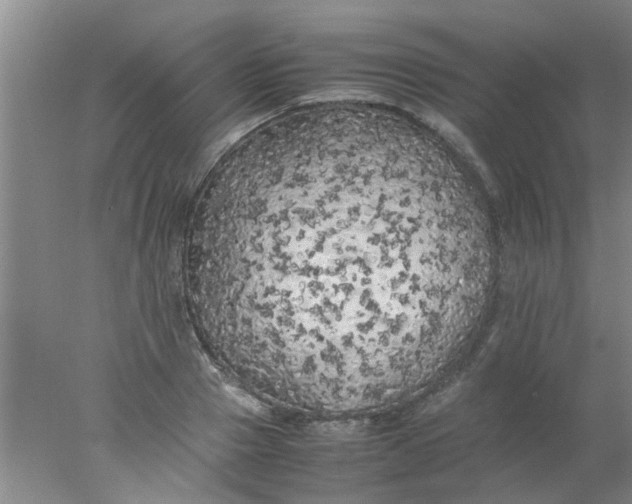 X0000078020937200611171909